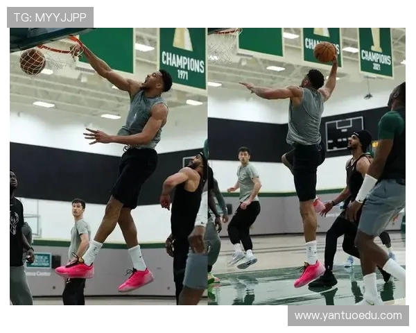 字母哥Freak8新款签名鞋发布与上一代颜值全面对比分析